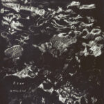 Bean Hollow - Bad Tiger