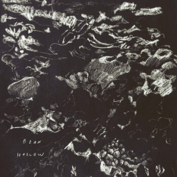 Bean Hollow - Bad Tiger