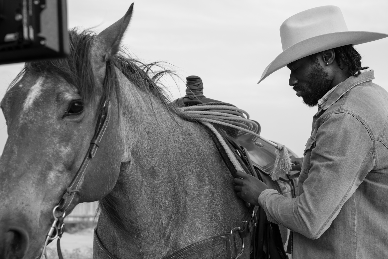 SAVNT of Ghost Hounds © 2026