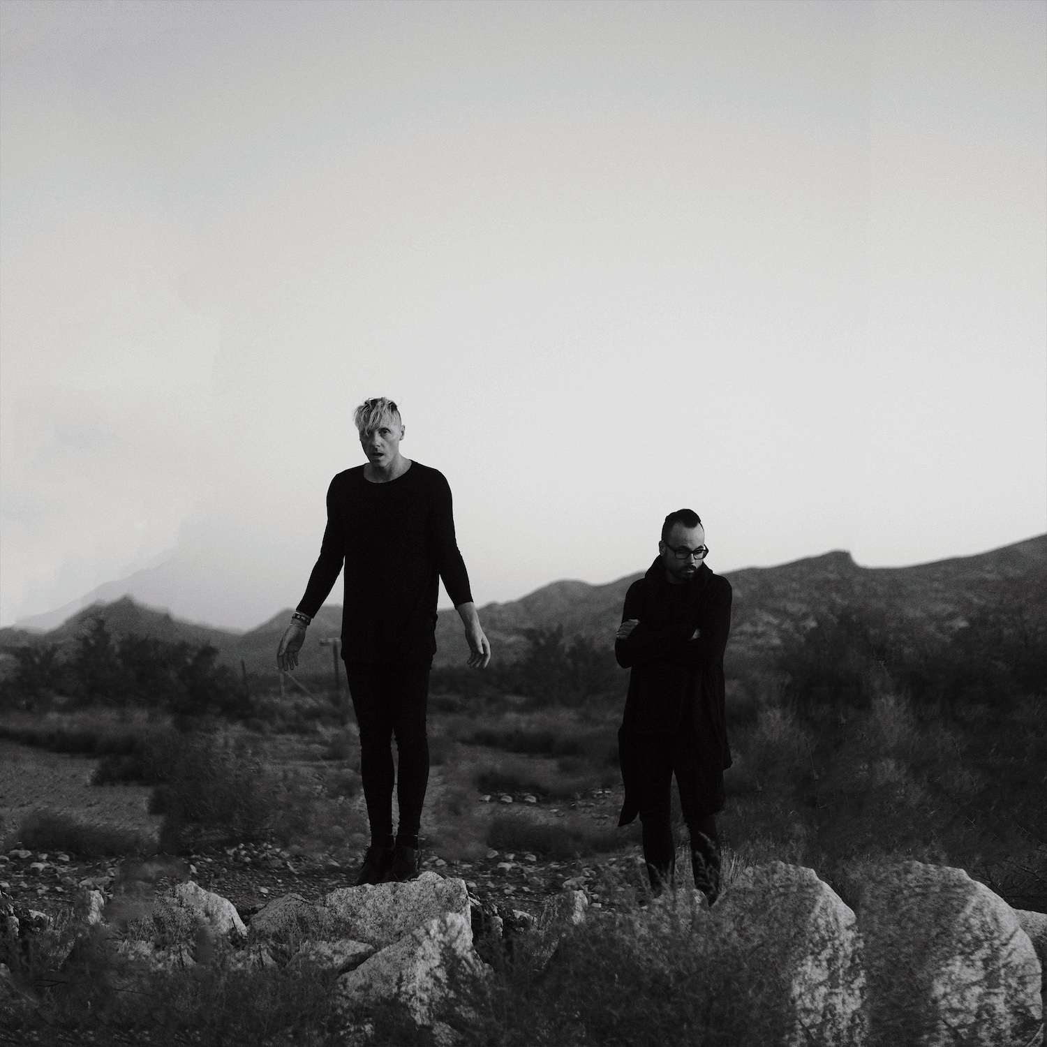 TRAITRS © Daniel Cherney