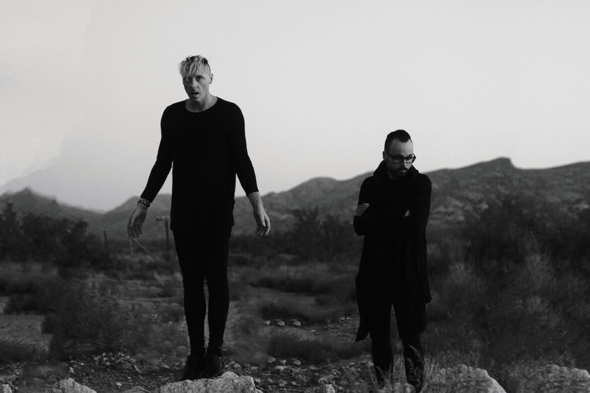 TRAITRS © Daniel Cherney