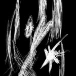 untitled freak - untitled freak