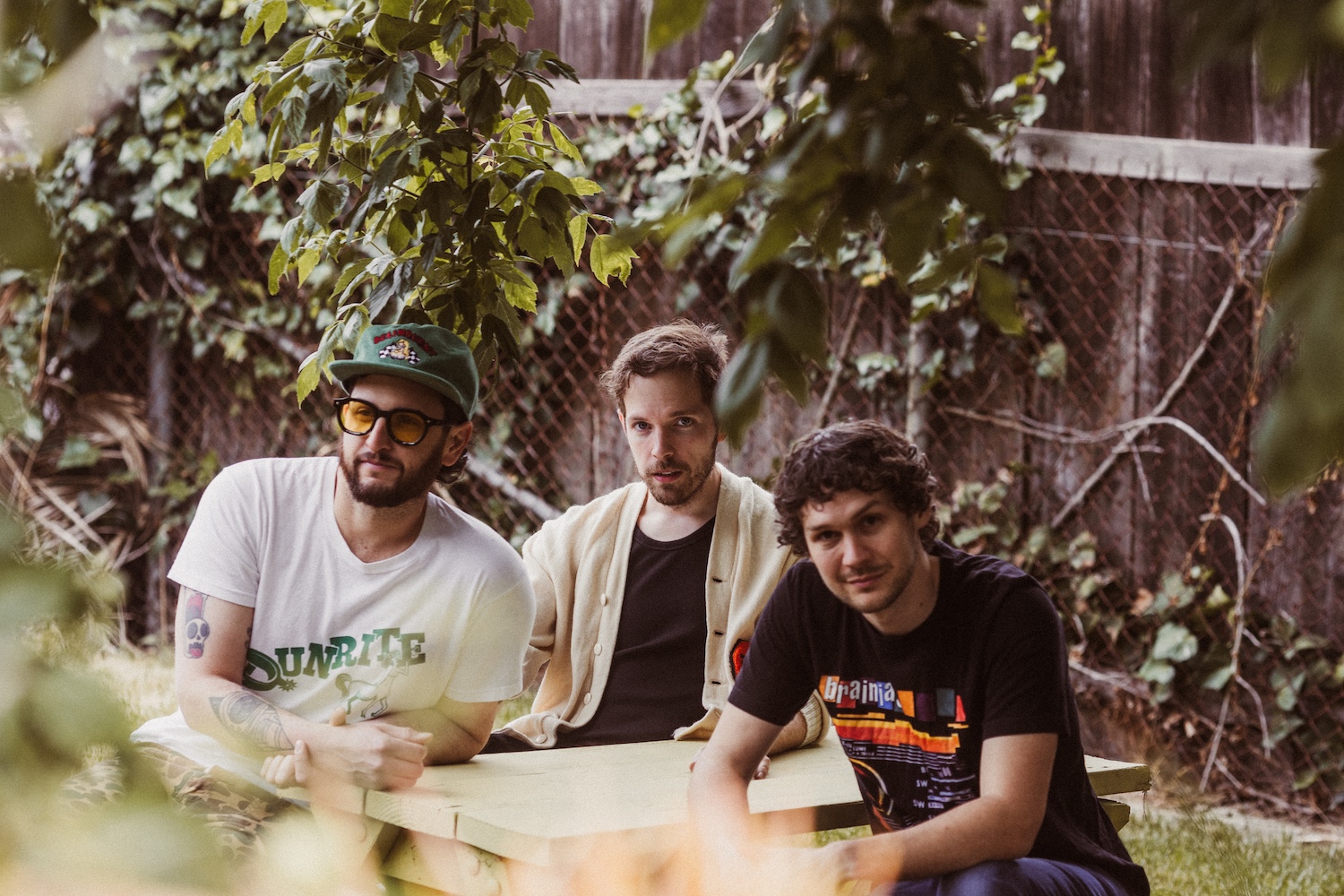 Coyote Theory © Sara Cross