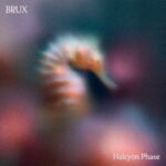 Halcyon Phase - BRUX