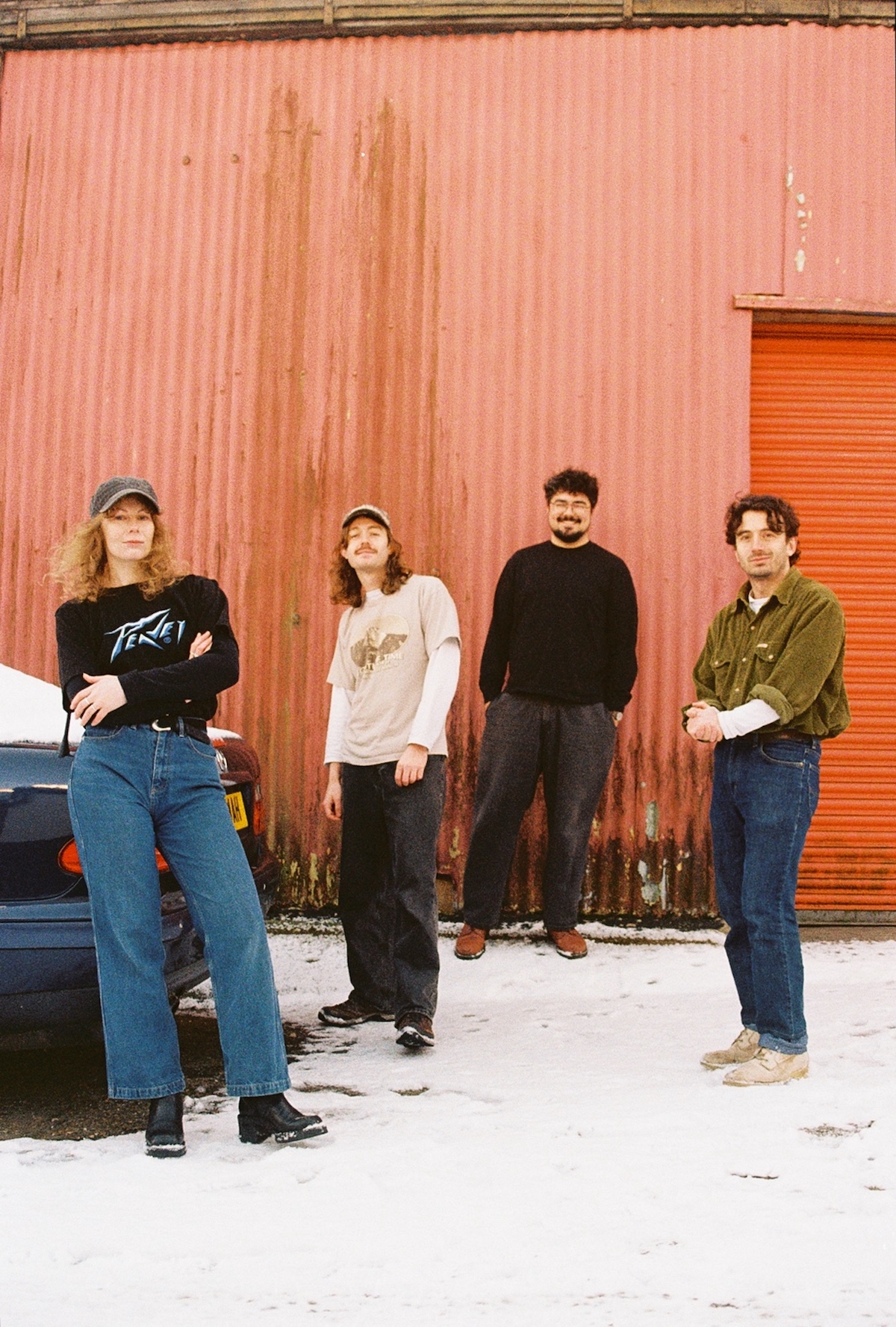 Brown Horse © Deva O'Neill