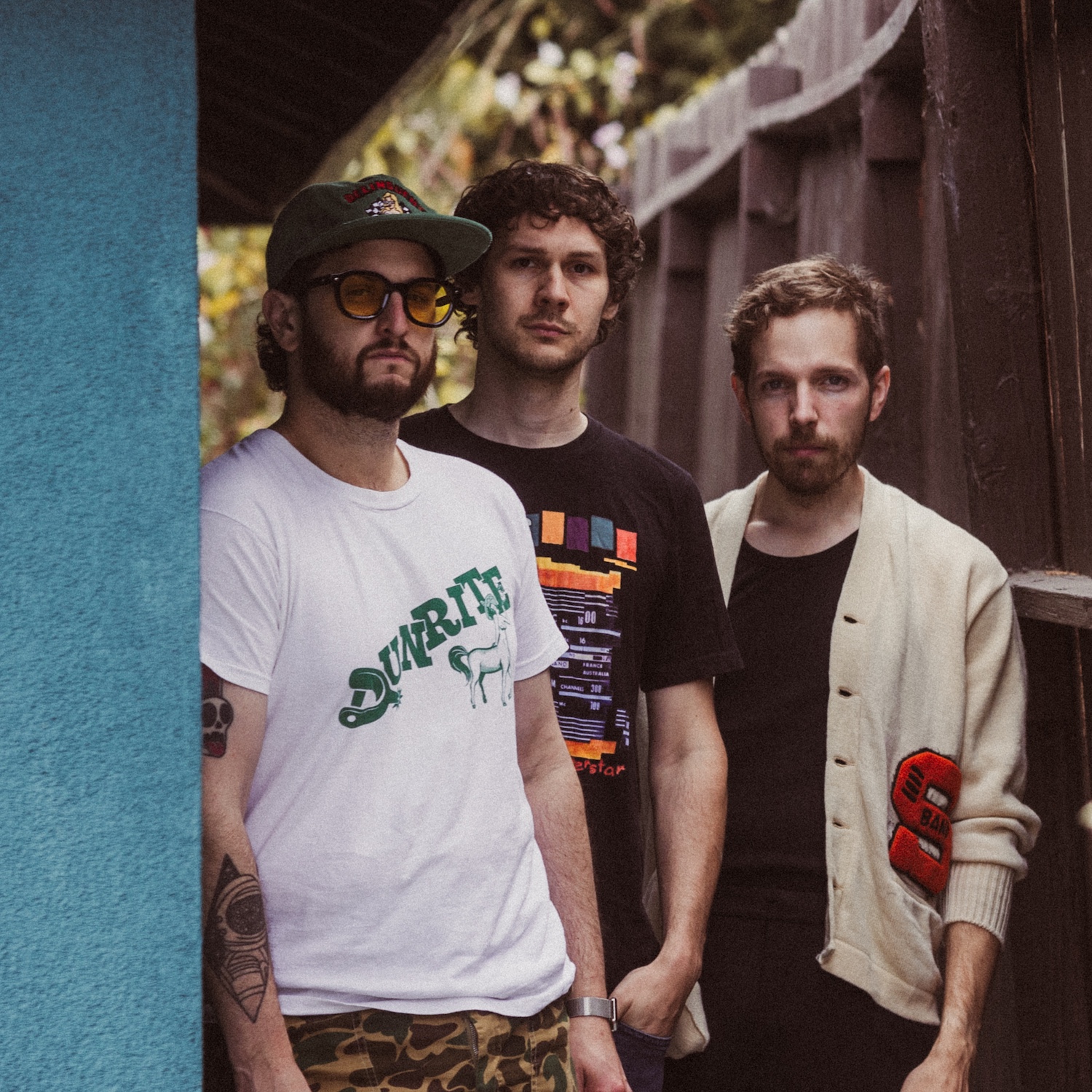 Coyote Theory © Sara Cross