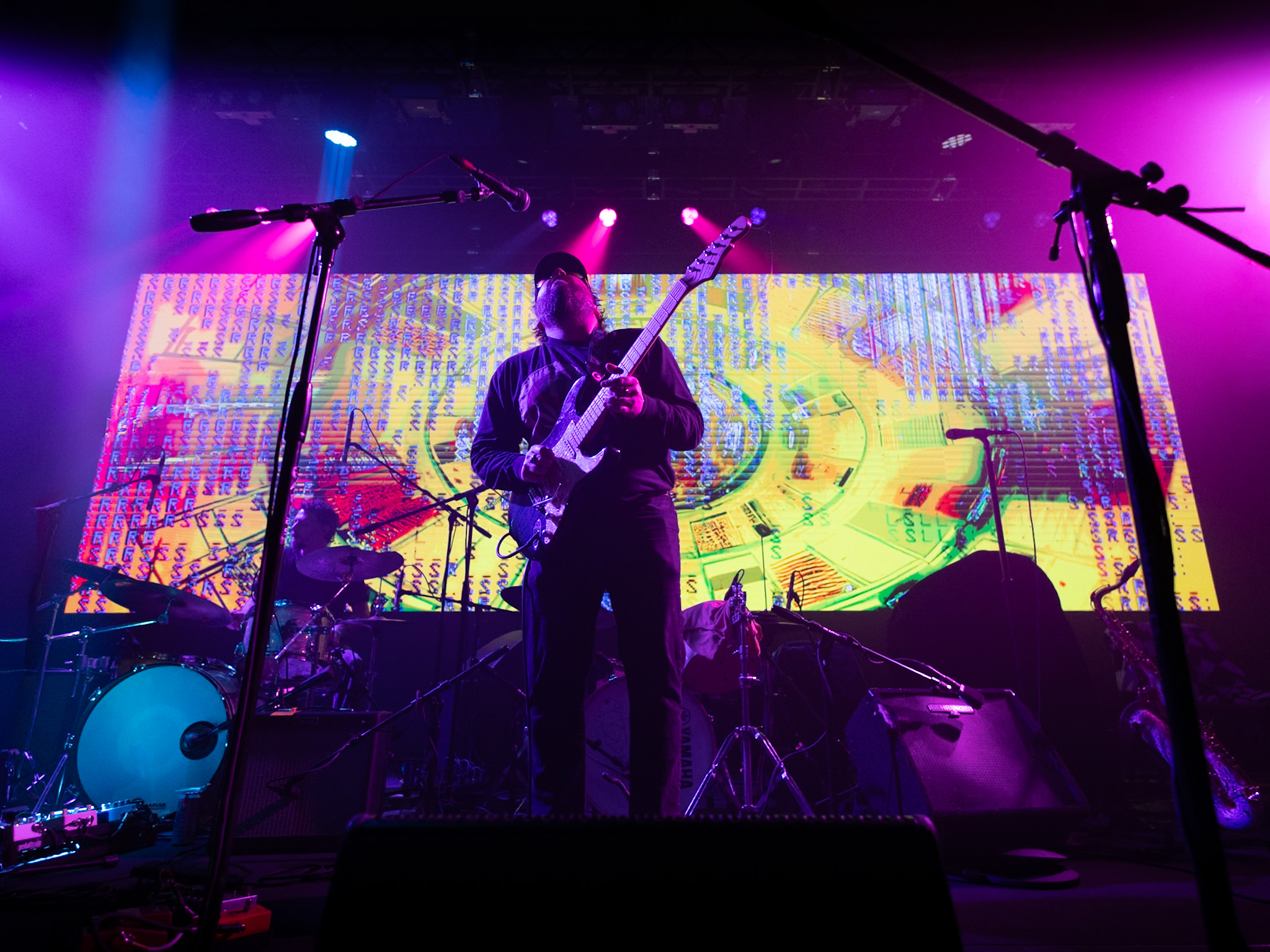 Curls Ultra © Willow Sokora