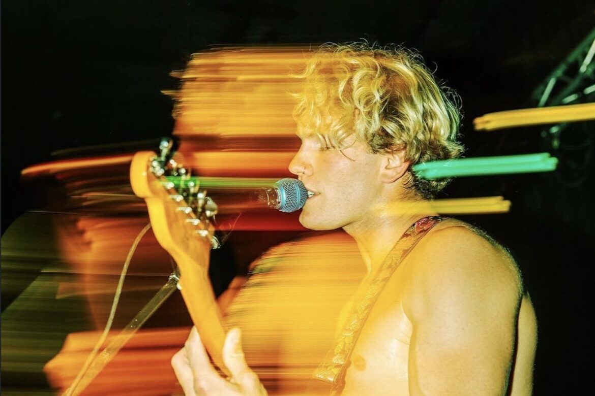 Dolphins on Acid © 2026