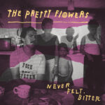 Never Felt Bitter - The Pretty Flowers