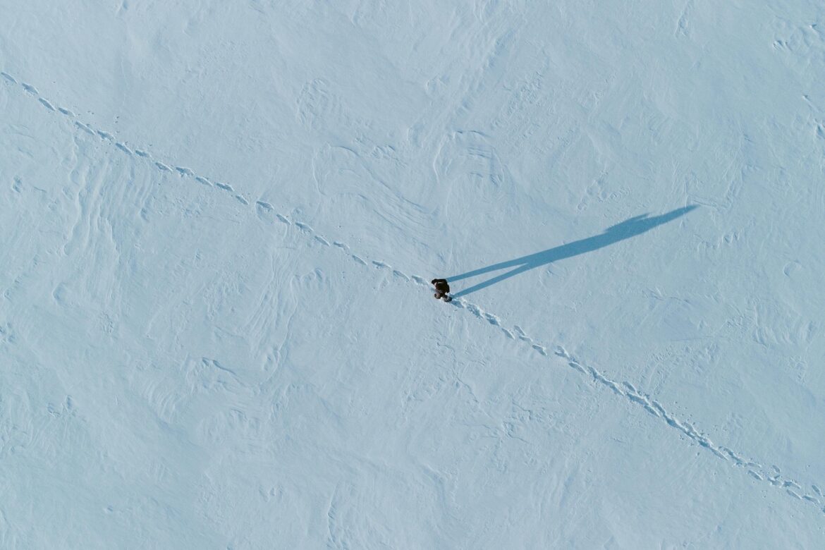 Reaper | image © Vyacheslav Bobin, Pexels