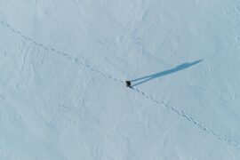 Reaper | image © Vyacheslav Bobin, Pexels