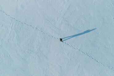 Reaper | image © Vyacheslav Bobin, Pexels