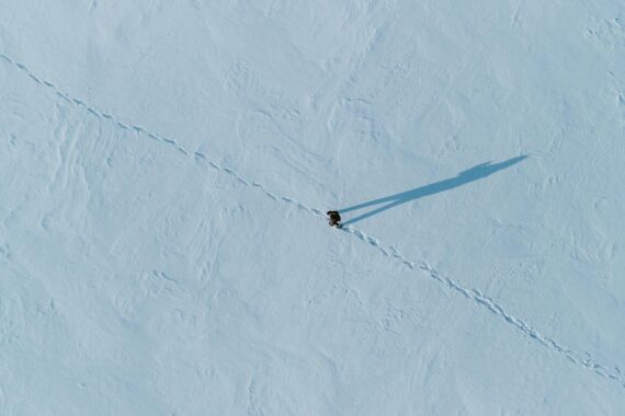 Reaper | image © Vyacheslav Bobin, Pexels