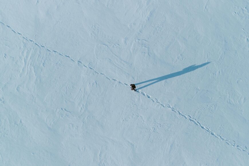 Reaper | image © Vyacheslav Bobin, Pexels