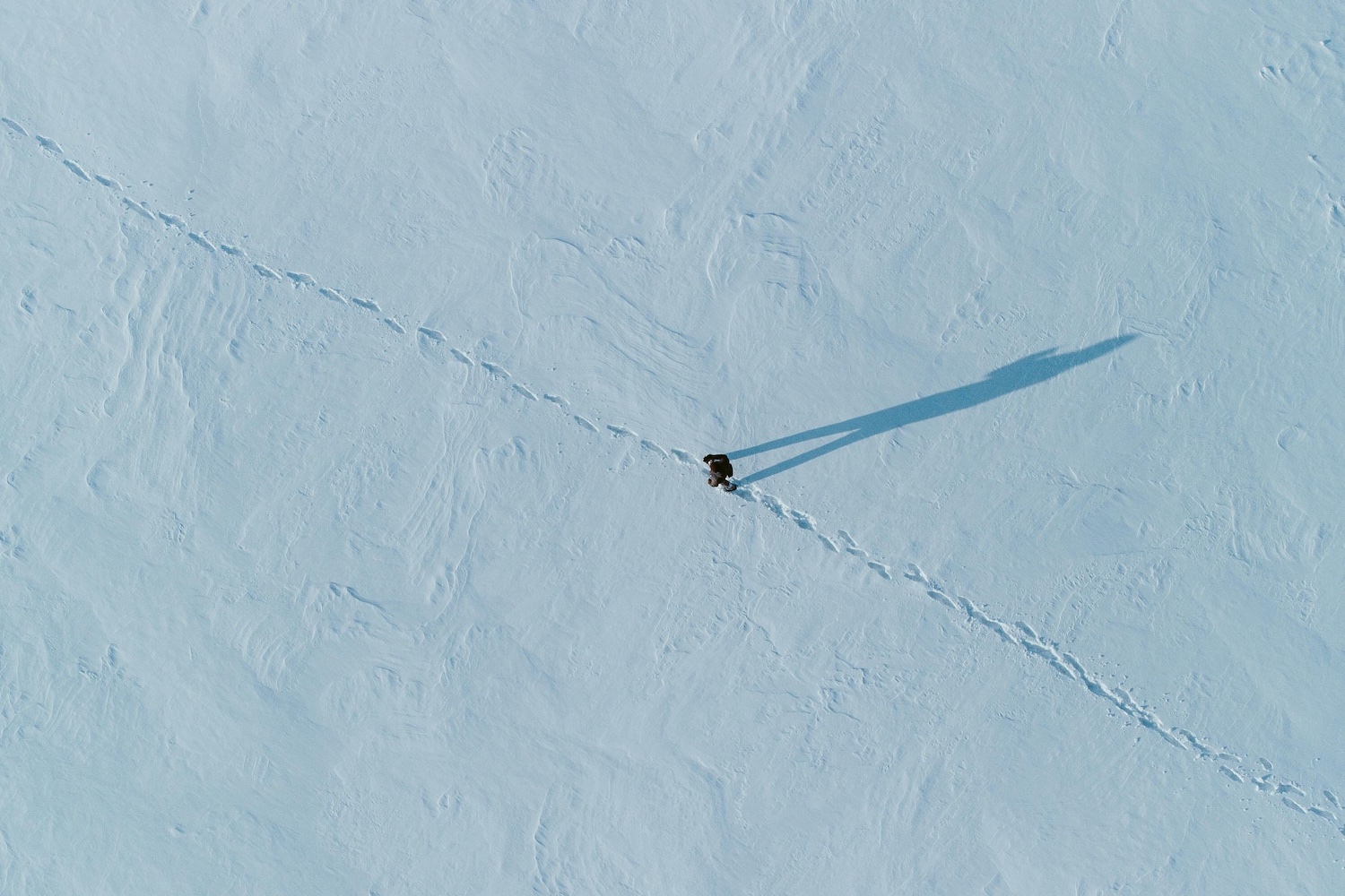 Reaper: A Short Story - Atwood Magazine