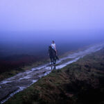 Suit & Tie - Soda Blonde