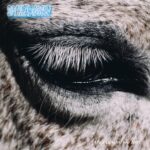 This Is Why We Lost - Smag På Dig Selv