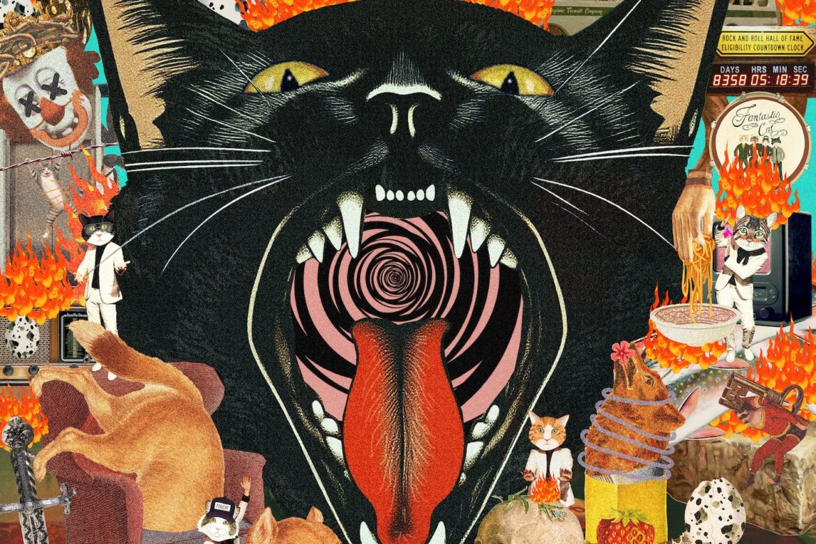 Fantastic Cat 'Cat Out of Hell'