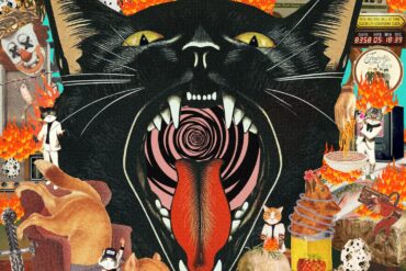 Fantastic Cat 'Cat Out of Hell'