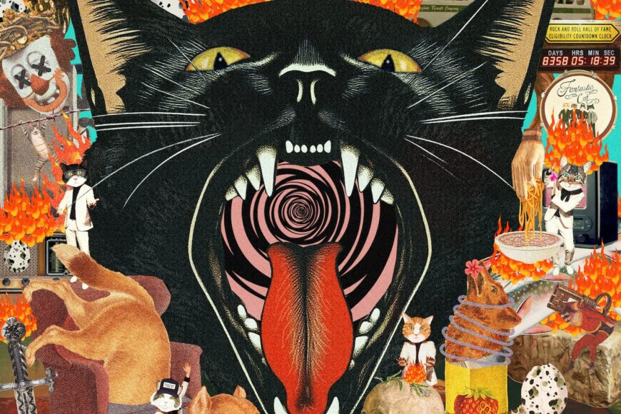 Fantastic Cat 'Cat Out of Hell'