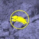 The Dollywaggon - LIFE