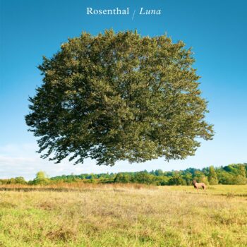 Luna - Rosenthal © Peter Curzon