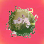 Move From Love - Hannah Hausman & Guthrie Galileo