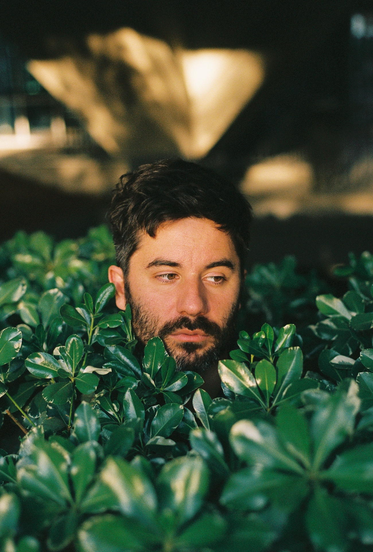 The Undercover Dream Lovers’ Matt Koenig © Jacob Cummings