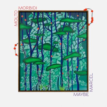 Maybe Marcel - molto morbidi