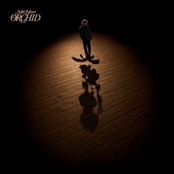 Orchid - Matt Hansen