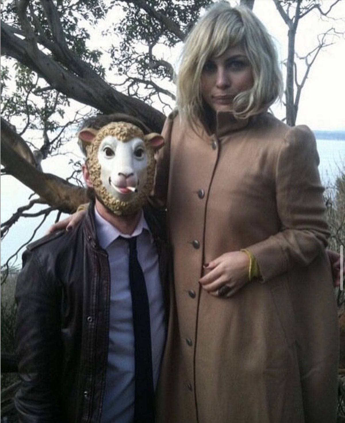 The Head and The Heart