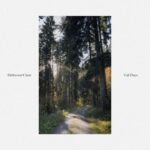 Tall Pines - Ed Prosek