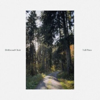 Tall Pines - Ed Prosek