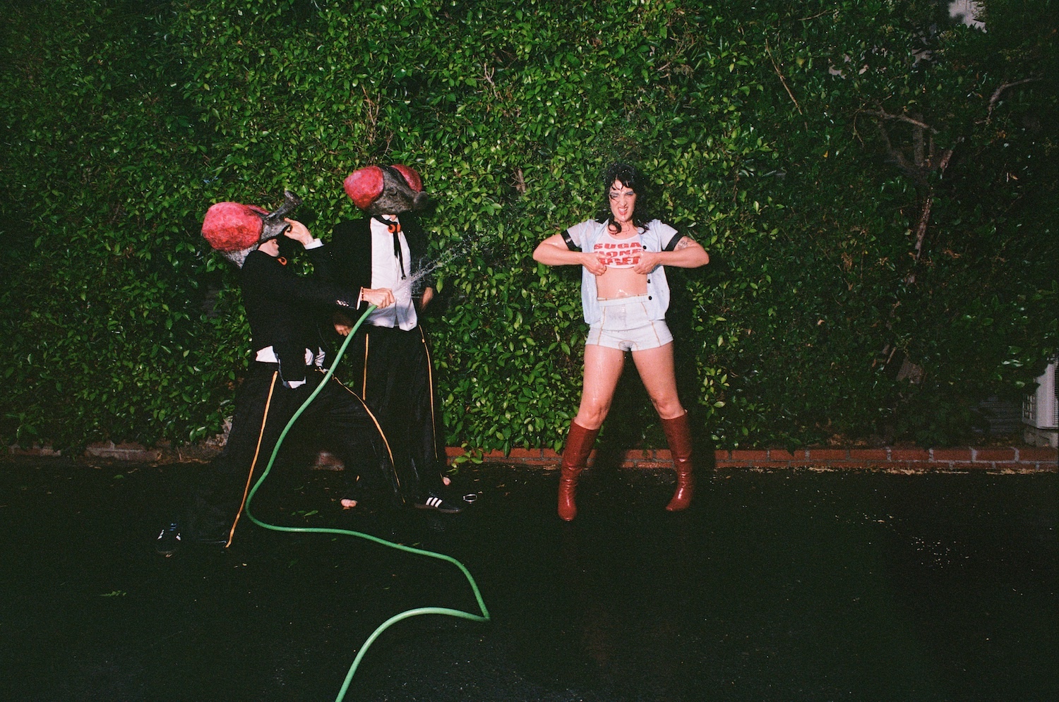 ill peach © Lucy Sandler