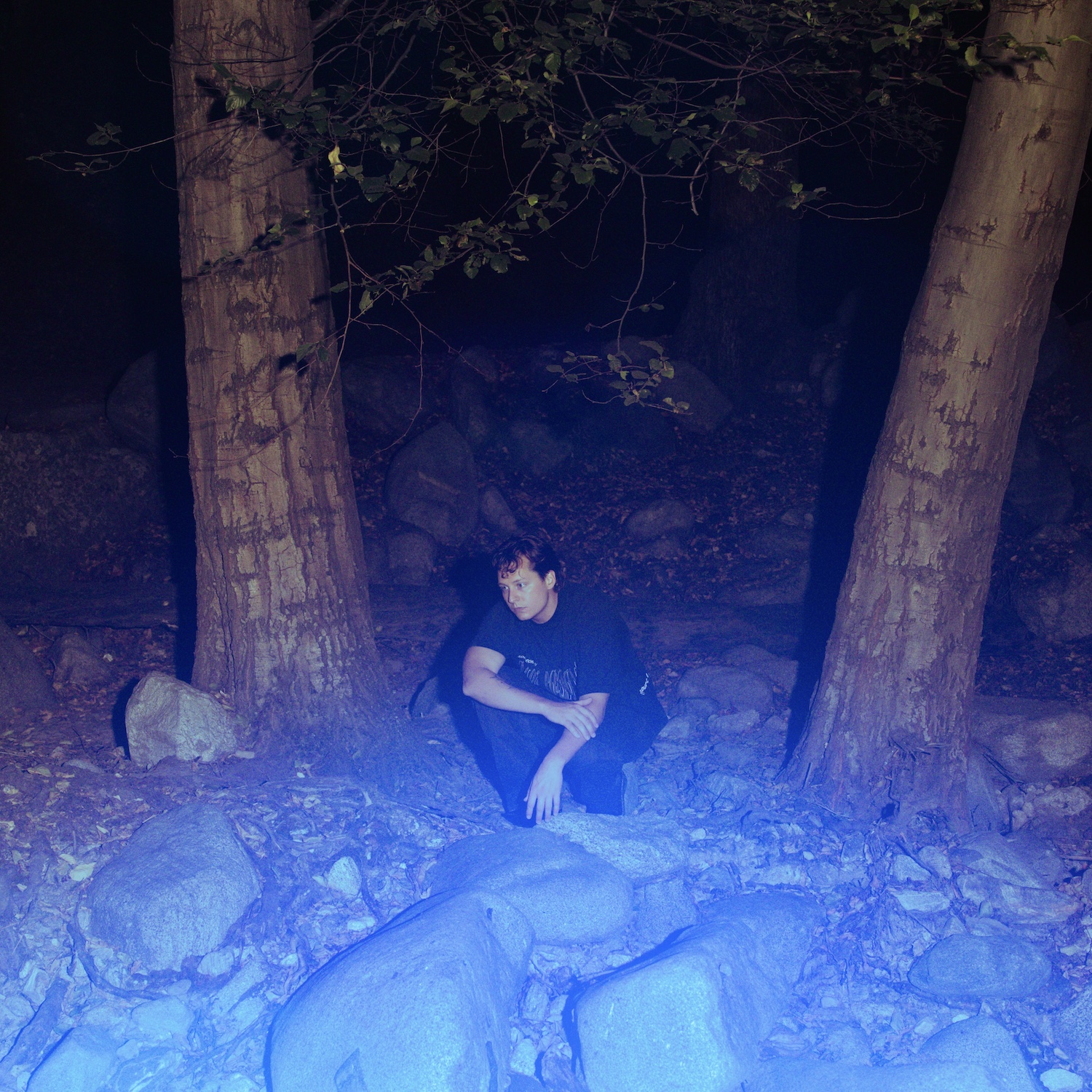 Gerrard © Lauren Kim