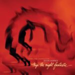 Trip the Night Fantastic - Terri Lyne Carrington