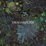 Dragonflies - Dragonflies