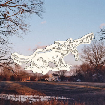 Jenny Says / Commack - Frontlawn