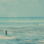 Ocean Mother - Luca Wilding