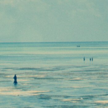 Ocean Mother - Luca Wilding