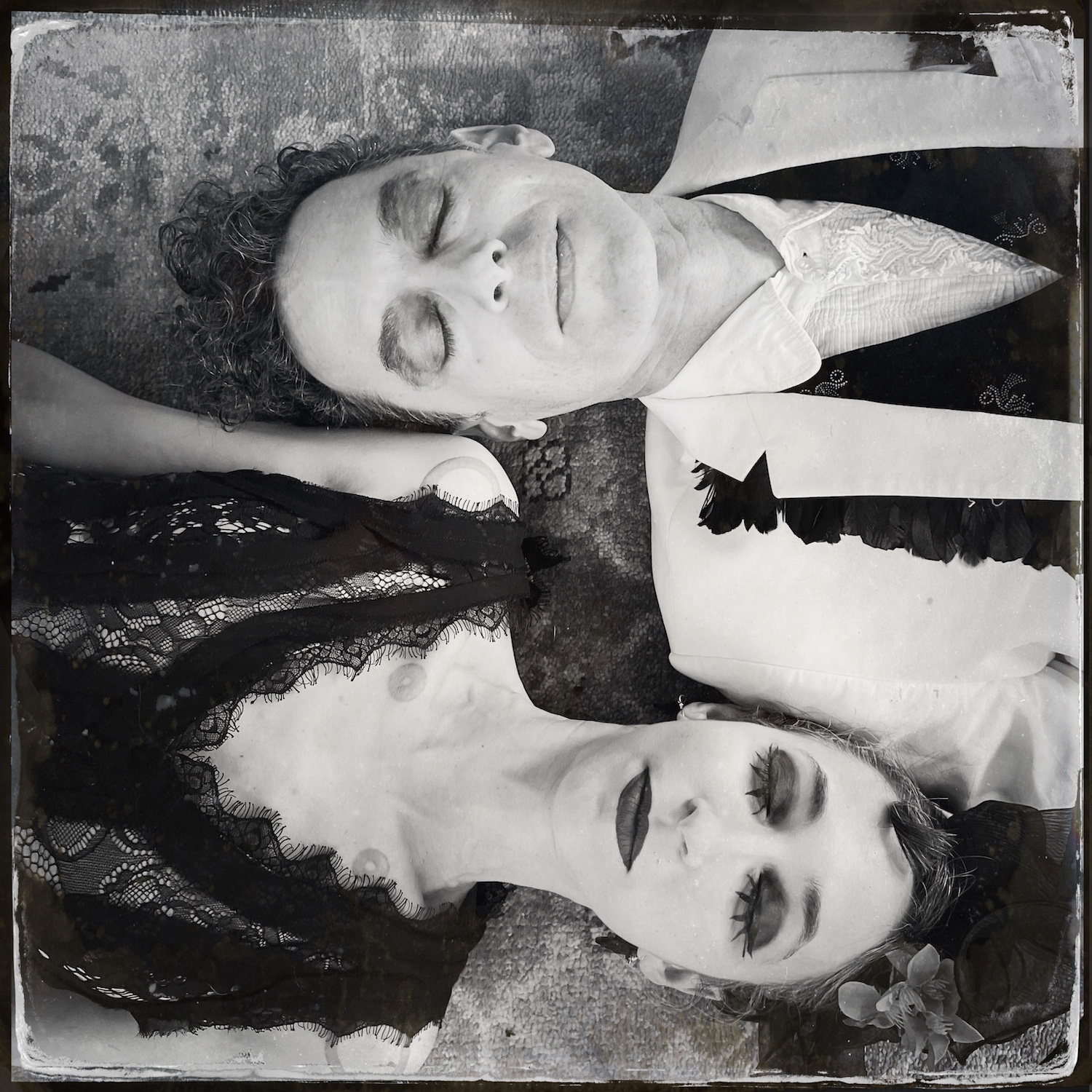 Charming Disaster © Kim Meinelt