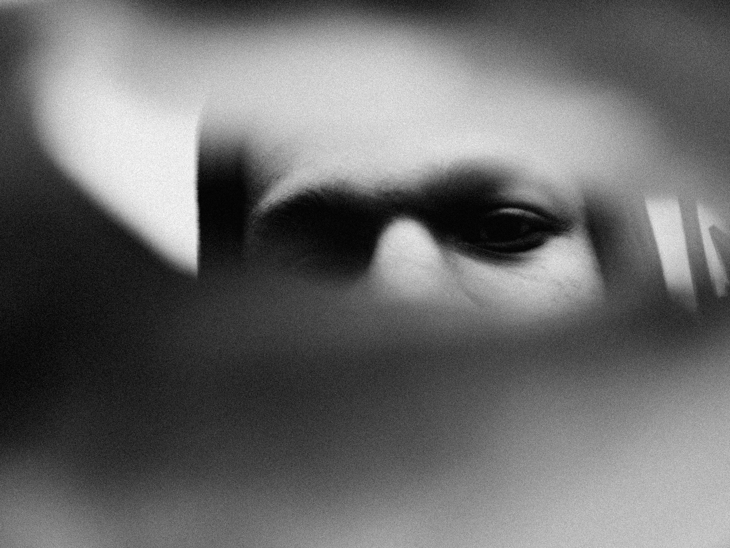 Dali Rose