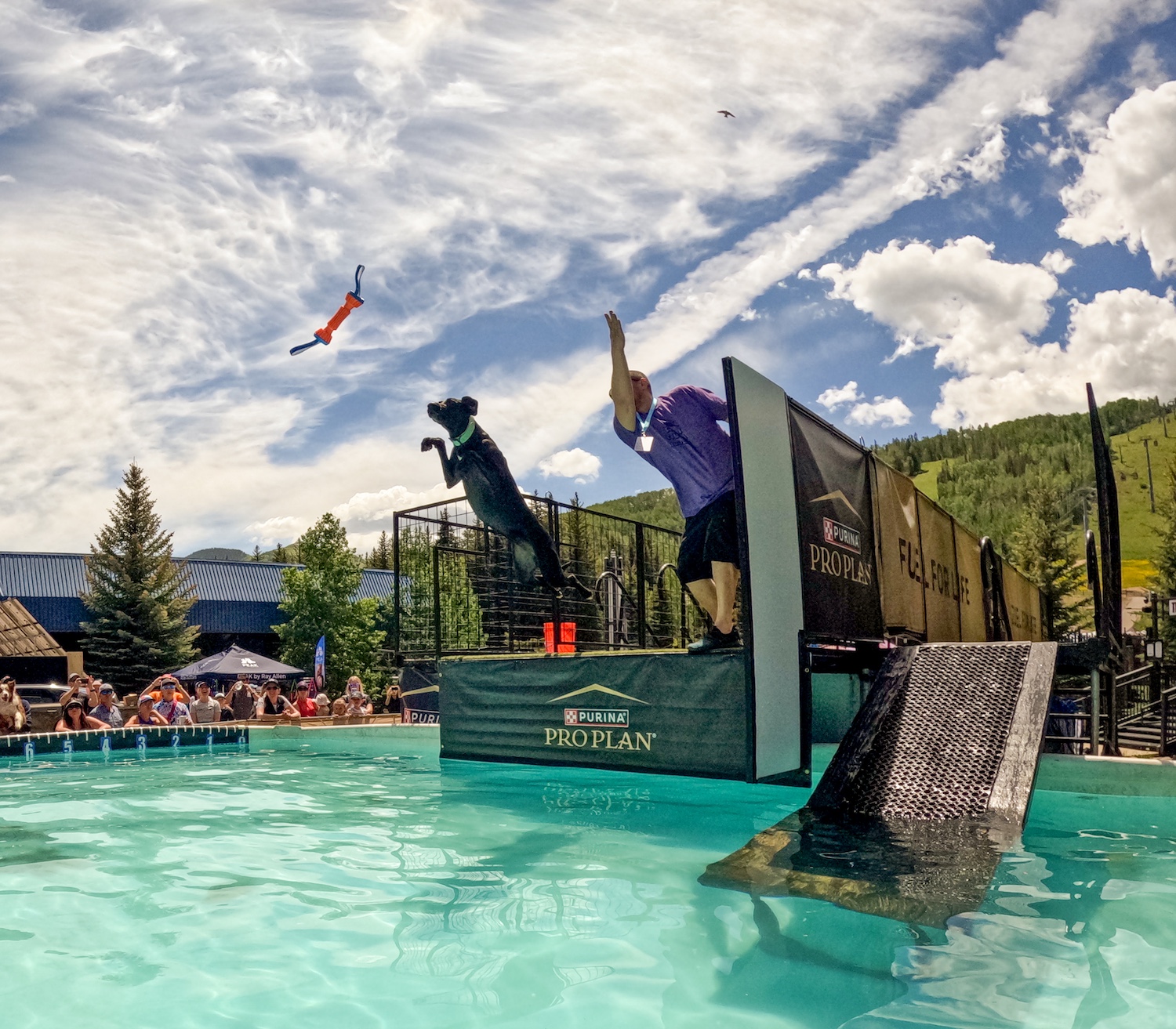 Four-legged athletes take flight at the GoPro Mountain Games’ DockDogs events © Jon Resnick 2026