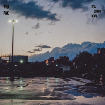 Still Coming Down - Wild Pink