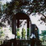 Mushroom Trip – Chase Elodia