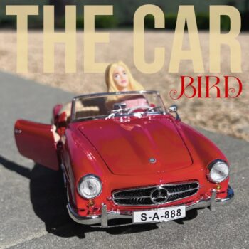 The Car - Bird