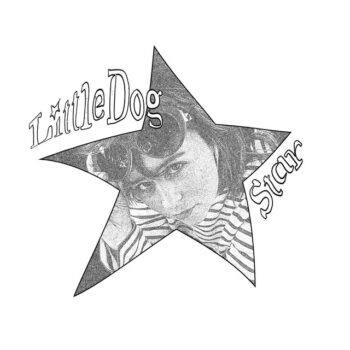 It's you - Little Dog Star